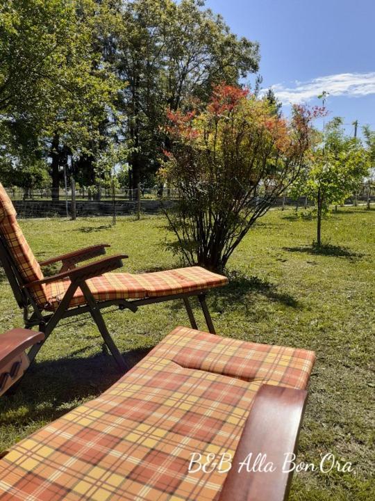 B&B Alla Bon'Ora Volpago del Montello Exteriör bild